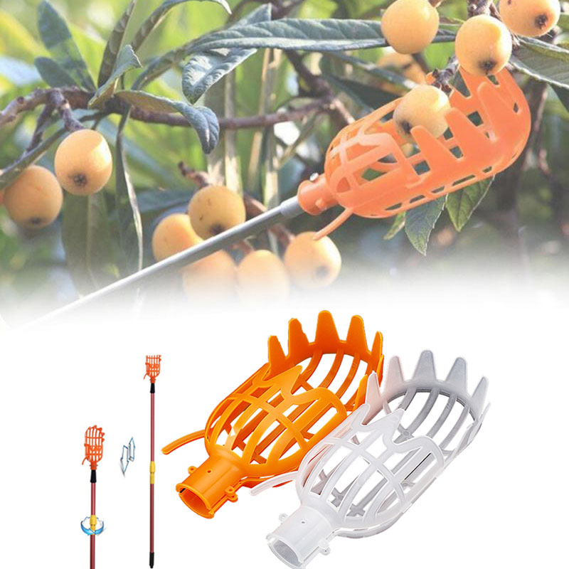 정원 바구니 과일 피커 헤드 멀티 컬러 플라스틱 과일 따기 도구 포수 농업 Bayberry 대추 따기 용품